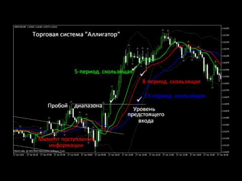 Система форекс видео лото на биткоинах
