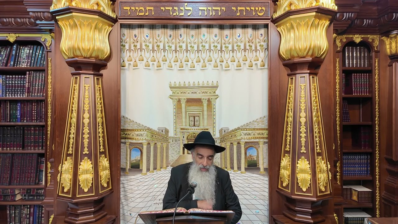 הרב מאיר דוד שמואלי - הלכות סוכה סימן תרמ"ט - תרנ"ח
