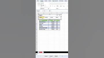 Data Filter In Ms Excel 👌💯✅ / #excel #exceltips #exceltutorial #realshahnawaj