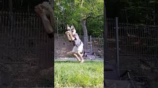 𝚁𝚎𝚙𝚘𝚜𝚝 シViral