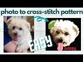 How to turn a photo into a simple cross-stitch pattern! || Easy method || Cross-stitch your dog ♥