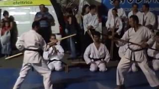 BO KIHON 2 BUNKAI