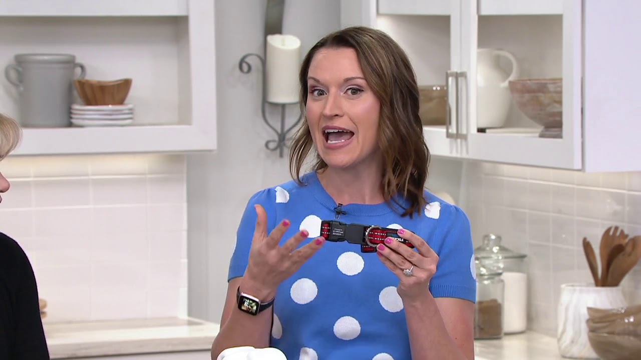 smart buckle dog collar