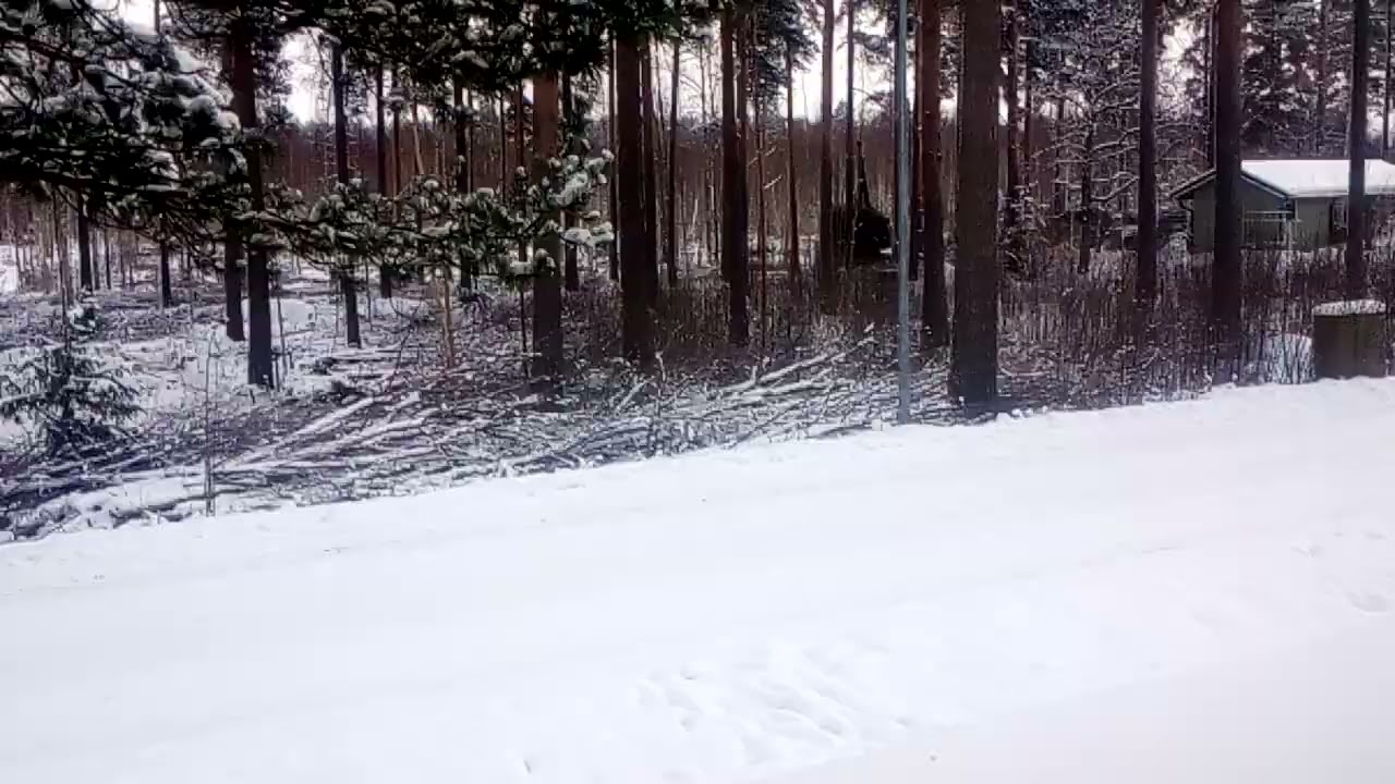 @Energia puitten ajoa. 🇫🇮