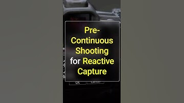 How Pre-Continuous Shooting Changes the Way You Shoot #R5Mark2 #R1