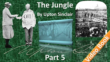 Part 5 - The Jungle Audiobook by Upton Sinclair (Chs 18-22)