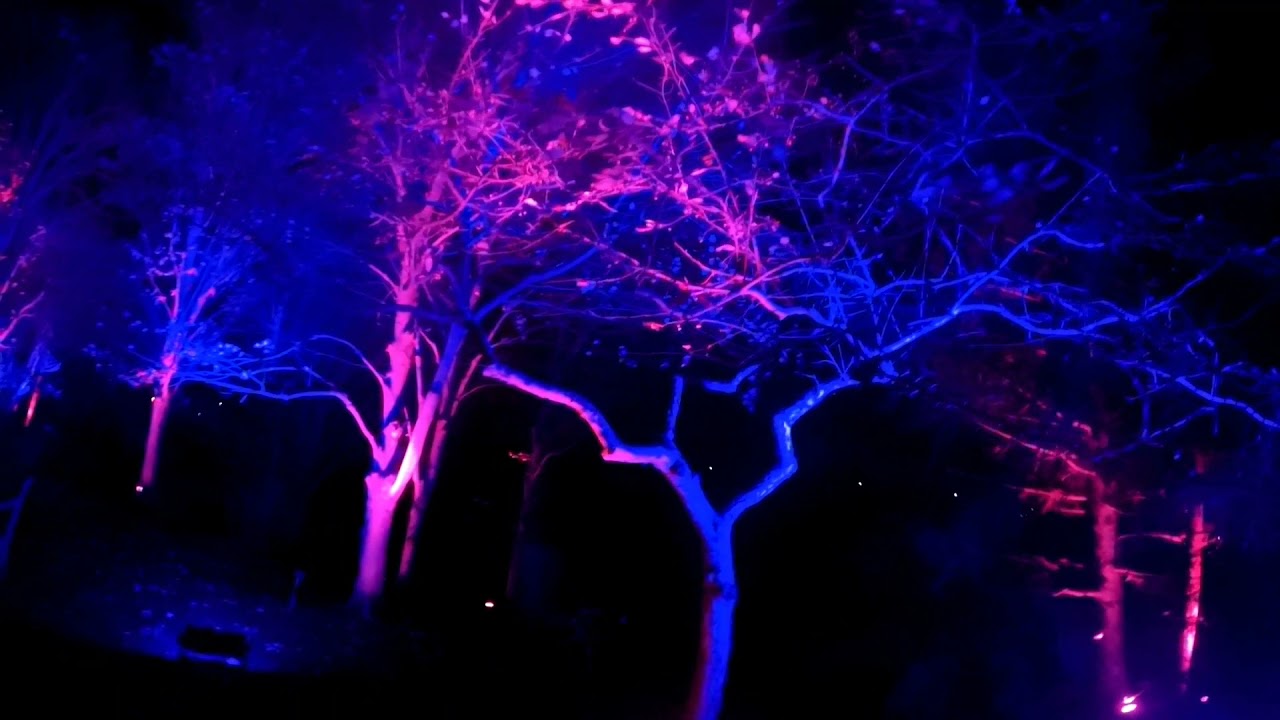 LIGHTSCAPE 2021, ELECTRIC FOREST AT CHICAGO BOTANICAL GARDEN