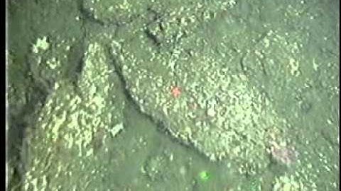 C0212SC_Tape72o.noaudio.mpg