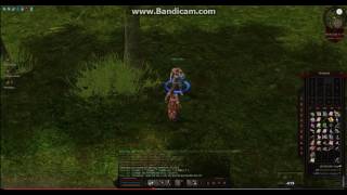 Bugaris Yang bug by Sabal