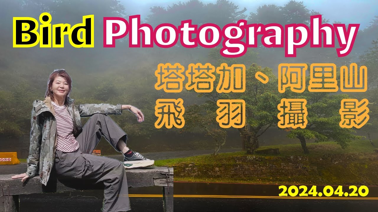 2024.04.20 | Bird Photography | We Fun in pi 鳥 | 塔塔加、阿里山飛羽攝影 | 自然攝影 | 假日趣哪裡