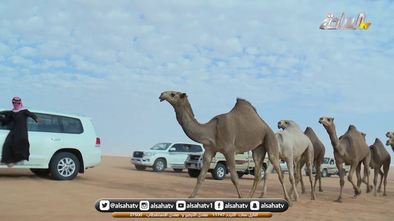 مسيرة  / عبدالله بن علي العجواني