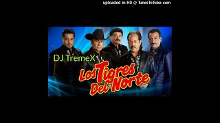 ROMÁNTICAS DE LOS TIGRES DEL NORTE mix DJ TremeX (Las Más Sonadas)