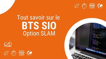 Tout savoir sur le BTS Services Informatiques aux Organisations (SLAM) - Initial ou Alternance