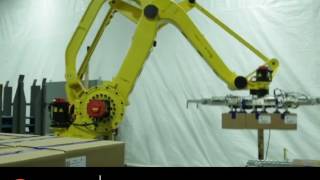 Pearson RPC Robotic Palletizer