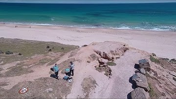 MJX Bugs 3 - New Beach - Pilots Cut