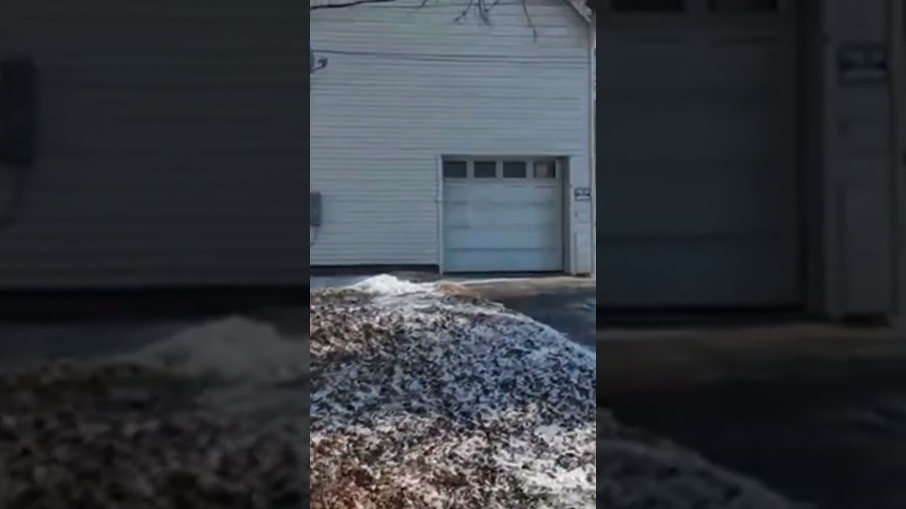 China's illegal weed grow houses in Maine