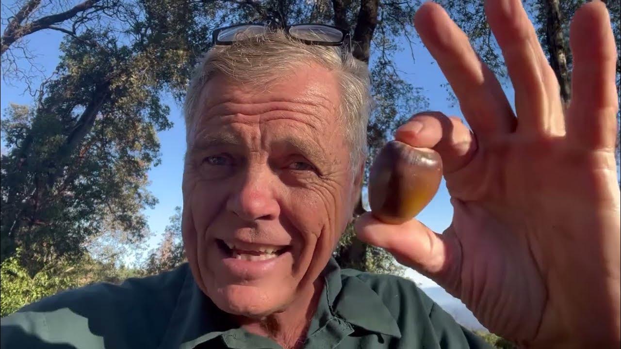 OBLIVIOUS !!! - YouTube