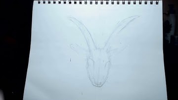 Baphomet Drawing Timelapse