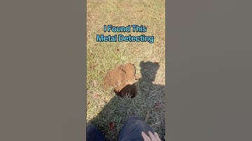I found this metal detecting. #metaldetecting #noktatriplescore @NoktaEngineering