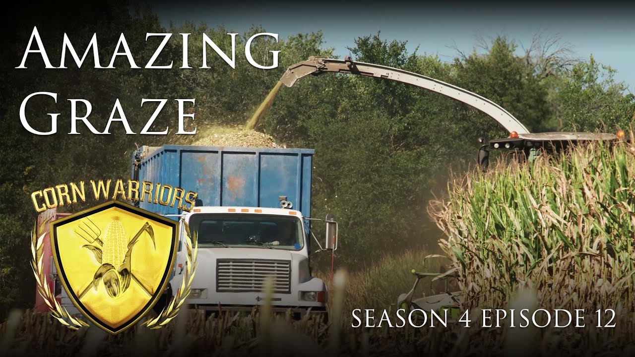 Corn Warriors - Season 4 | Episode 12 - 