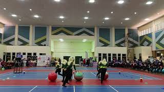 PKD KEMAMAN   KEMAMAN FITTBALLERZ