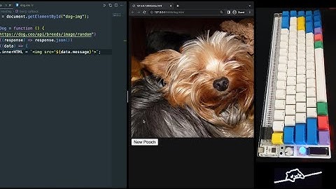 ASMR Programming – Random Dog Image Generator – No Talking – JS & API