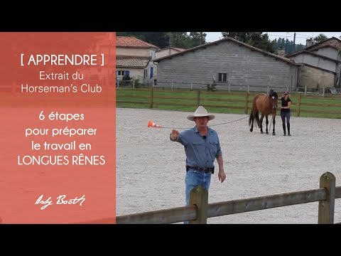 [APPRENDRE] 6 étapes pour préparer le travail en LONGUES RÊNES