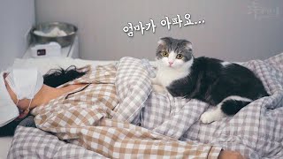A cat's reaction to seeing its owner sick by 그루밍데이 고양이cat vlog 22,950 views 3 months ago 4 minutes, 53 seconds