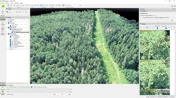 PIX4Dmapper @ forest. Point cloud and orthophoto.
