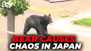 BEAR ATTACKS PEOPLE IN JAPAN’S FUKUSHIMA: 4 INJURED IN SHOCKING INCIDENT