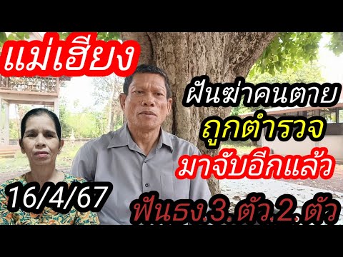 ผลสลากกินแบ่งรัฐบาล วันที่ 1 พย. 2567 ผลสลากกินแบ่งรัฐบาล วันที่ 1 พย. 2567