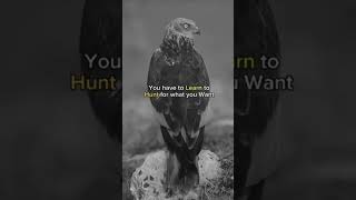 @aim n passion # strong mindsets # mindset # success # success mindsets # quotes # life principles