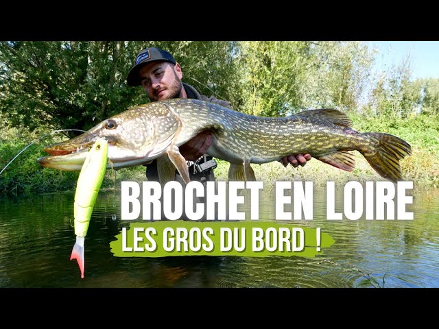 Leurre brochet : 10 leurres à brochet à avoir dans sa boîte de leurres