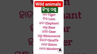 wild animals name odia to english. #wildanimals #wildanimalsnames #hinsrapashu #animalshorts #odia
