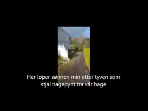 Video: Hagepynt