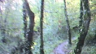 Rando VTT Lac des Vergnes