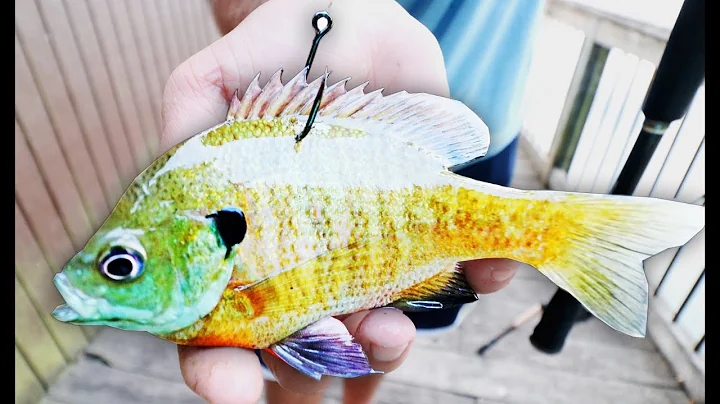 USING LIVE BLUEGILL TO CATCH GIANT BASS! (INSANE RESULTS)