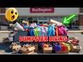 I Went Dumpster Diving In A Rich Town! Crazy Finds!