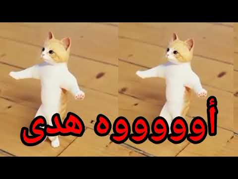 اغنية باسم هدى الحلوة سطلانة السعودية الكويت الامارات قطر عمان البحرين تركيا دبي ابوظبي العراق