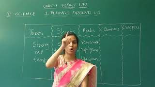 PLANTS AROUND US | SCIENCE | CLASS 2 | CHAPTER 1