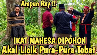 BANG REY TERBARU ALHAMDULILAH AKHIRNYA MENYERAH MAHESA & PRABU DITANGKAP HIDUP-HIDUP