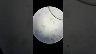 20180706 172505