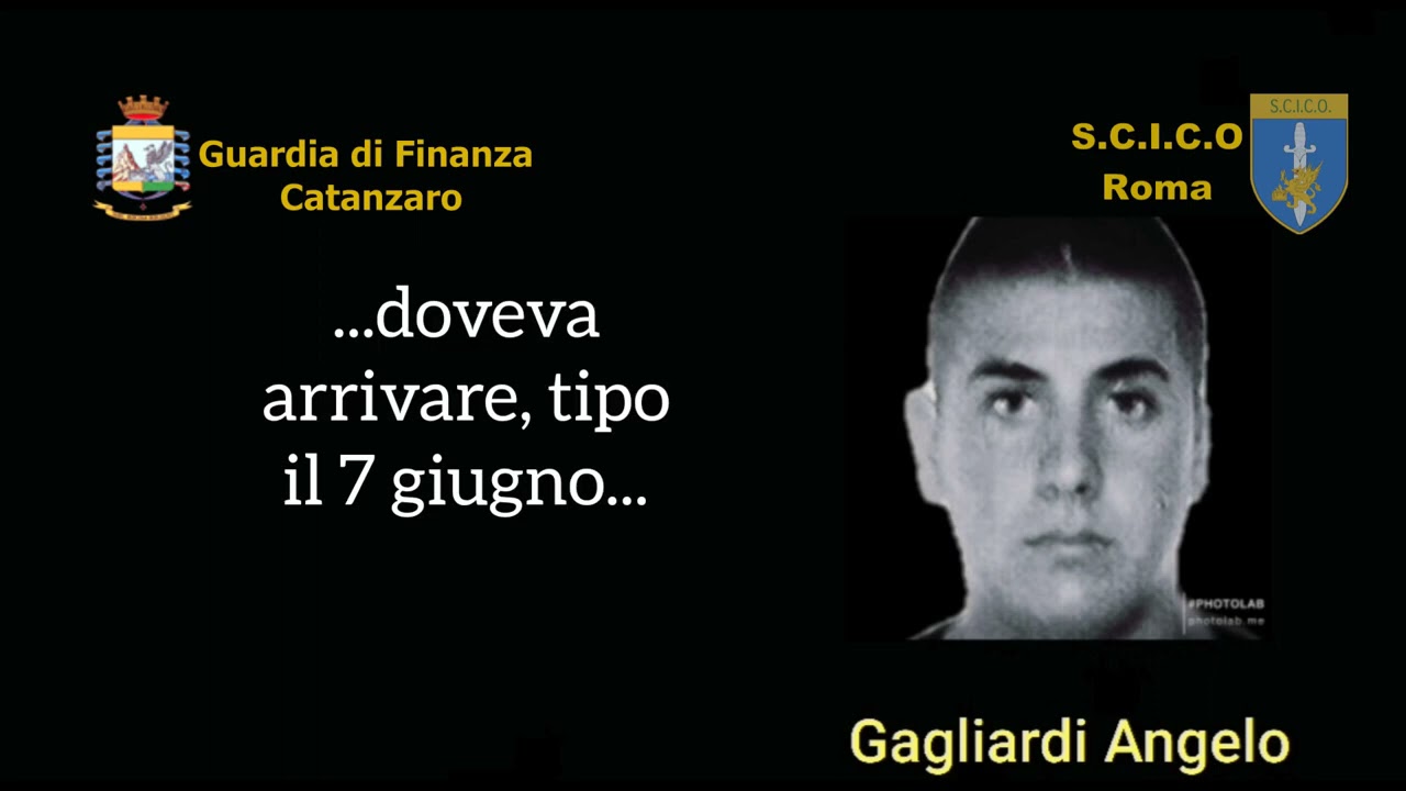 'Ndrangheta, operazione Molo 13: le intercettazioni