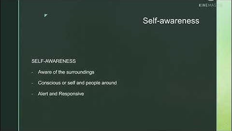 The Self as Cognitive Construct - Understanding the Self by Ma. Elissa Maugin and Amirudin Unsay