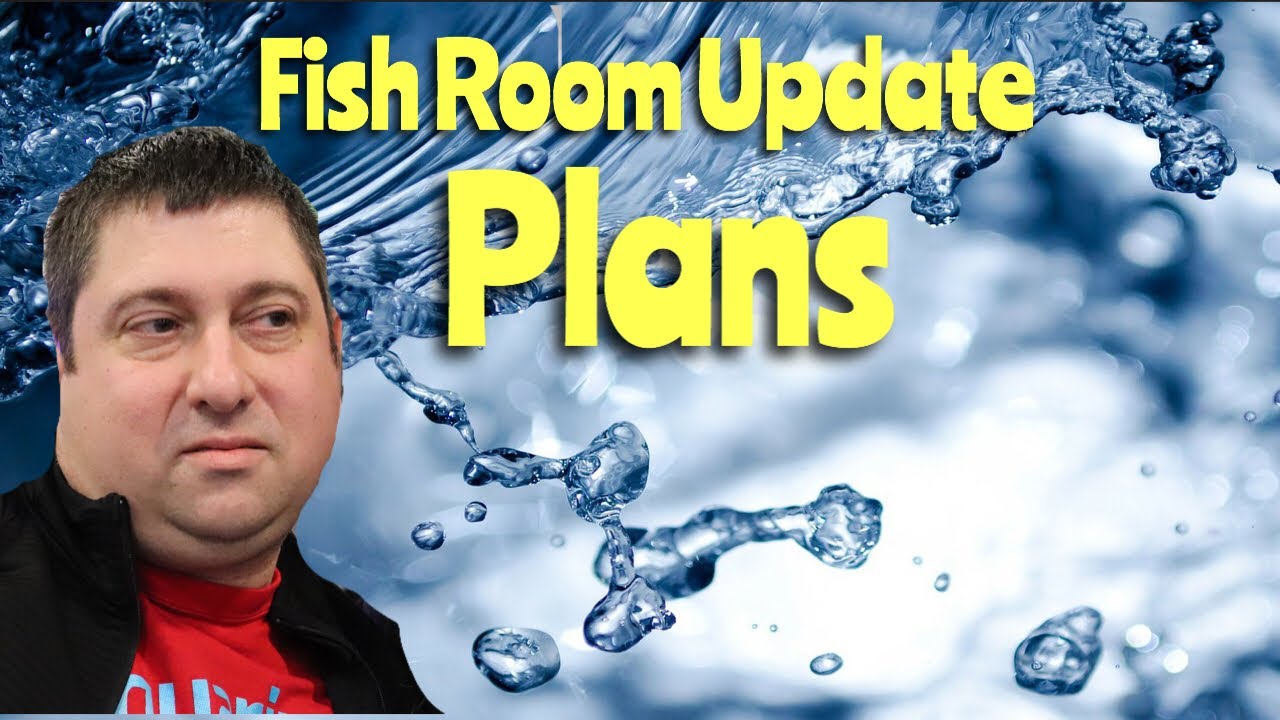 discus fish tank size December 2018 Fish Room Update Plans