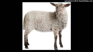 Mouton