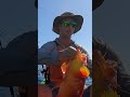 Ultimate Mozambique Adventure: PART 1 (Full video on channel)