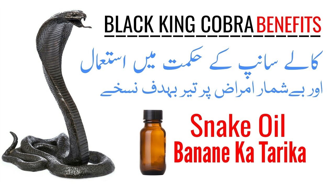 Cobra Snake Oil Benefits & Use In Ayurvedic Medicines In Hindi YouTube