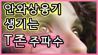 [명상 주파수] 안와상융기 생기는 T존 주파수 (T-zone frequency) / 이목구비 뚜렷해지는 주파수 / 눈썹뼈, 뚜렷한 인상, 입체적, 서구적 얼굴 1시간