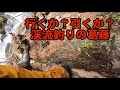 行くか?引くか?渓流釣りの葛藤